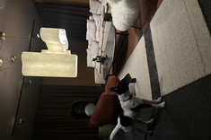 Strefa wypoczynkowa w showroomie Metaforma Design. Na pierwszym planie uroczy pies, w tle fotel wykończony puszystą tkaniną - modny i przytulny, a jeszcze dalej wygodna sofa w jasnym, materiałowym obiciu